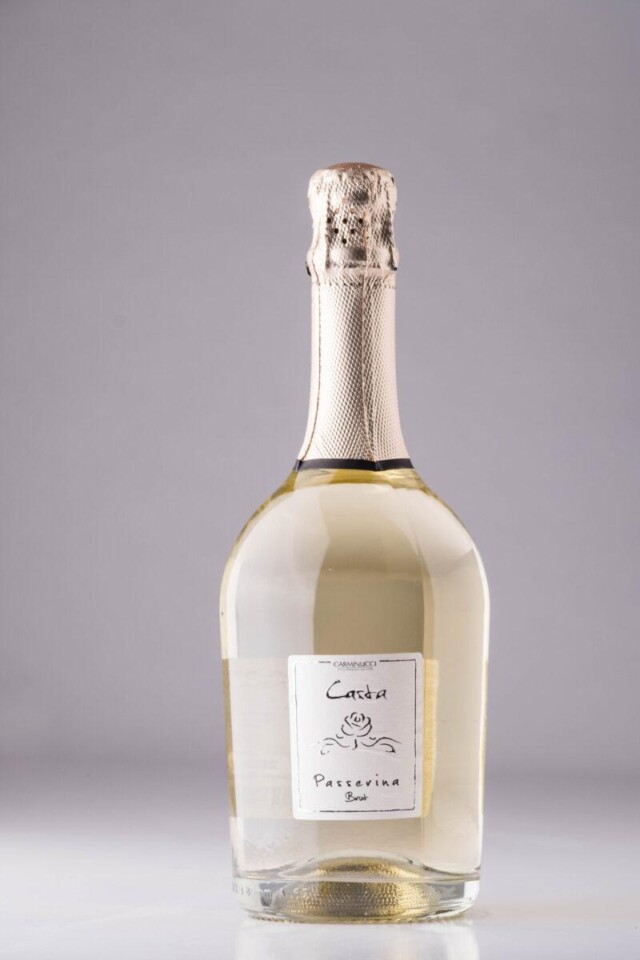 bottiglie di vino su sfondo bianco